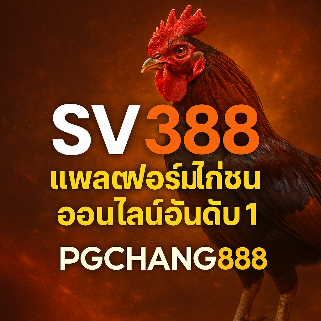 SV 388 แพลตฟอร์มไก่ชนออนไลน์อันดับ 1 ผ่าน PGCHANG888